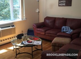 59 Parkman St in Brookline, MA - Building Photo