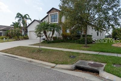 307 Star Shell Dr in Apollo Beach, FL - Building Photo - Building Photo