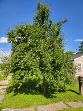 2925 Colorado Ave in Flint, MI - Building Photo - Building Photo