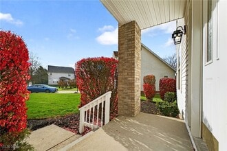 6724 Larch Ct in Bedford, OH - Building Photo - Building Photo