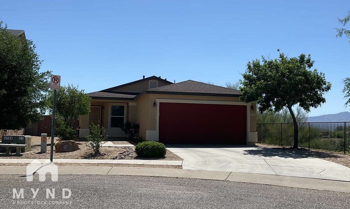 1295 W Placita Tecolote Mesa in Sahuarita, AZ - Building Photo