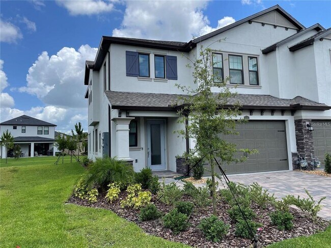 4580 Almada Ln in Wesley Chapel, FL - Building Photo - Building Photo