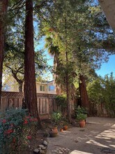 7861 Paseo Santa Cruz in Pleasanton, CA - Building Photo - Building Photo