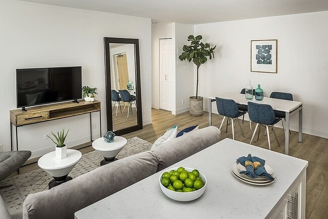 Camelot Court in Brighton, MA - Foto de edificio - Building Photo