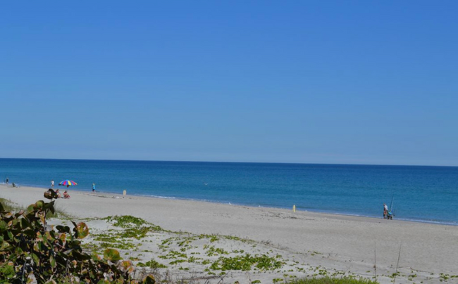 107 La Costa St in Melbourne Beach, FL - Building Photo - Building Photo
