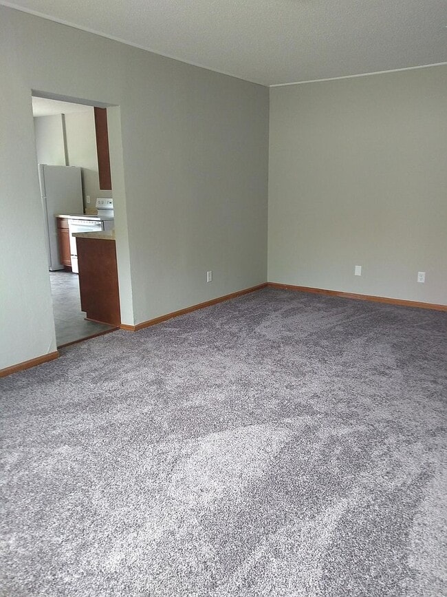 property at 424 4th St S