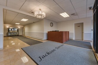 101 Jackson Ave in Mineola, NY - Building Photo - Building Photo