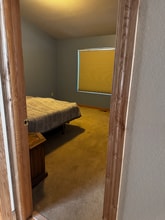 1017 Basin Ct in Windsor, CO - Foto de edificio - Building Photo