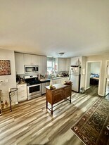 920 W 35th Pl in Chicago, IL - Building Photo