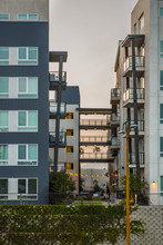 The Griffith in Glendale, CA - Foto de edificio - Building Photo