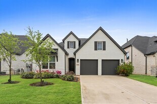 9638 Birchwood Holw Trl in Tomball, TX - Building Photo