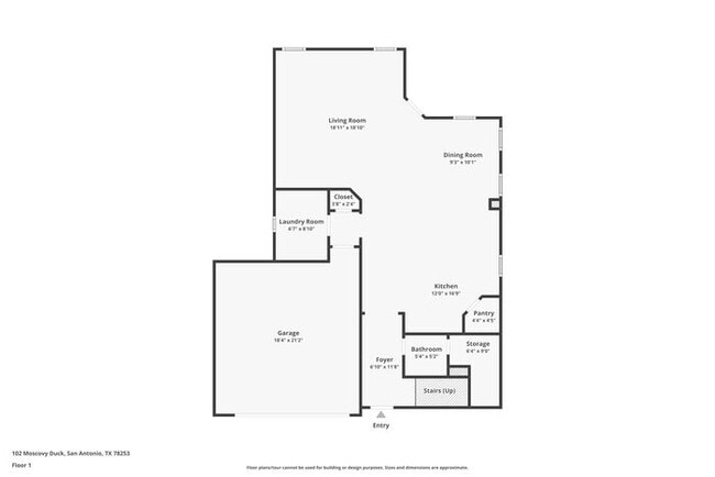 102 Moscovy Duck in San Antonio, TX - Building Photo - Building Photo
