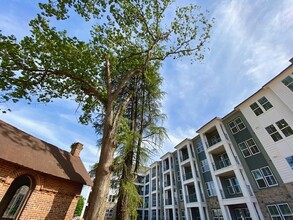 Bon Haven Apartments in Spartanburg, SC - Building Photo - Building Photo