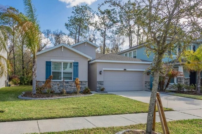 32959 Sand Creek Dr in Wesley Chapel, FL - Building Photo - Building Photo