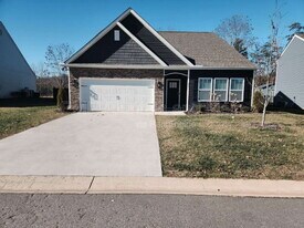 299 Ridgeview Ln in Mars Hill, NC - Building Photo