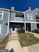 5833 Orchard Hill Ct in Clifton, VA - Building Photo