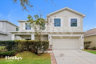 11108 Creek Haven Dr in Riverview, FL - Building Photo