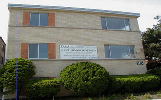 115 Garfield St in Oak Park, IL - Building Photo