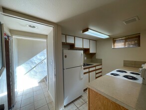 511 1/2 S Grant Ave in Fort Collins, CO - Building Photo - Building Photo