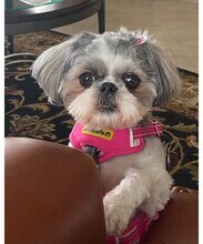 17507 S Summit Canyon Dr in Houston, TX - Foto de edificio - Building Photo