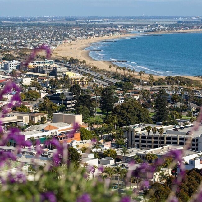 2420 Torrey Pines Rd in San Diego, CA - Building Photo - Building Photo