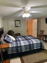 4241 Springhill Dr in Tuscaloosa, AL - Building Photo - Building Photo