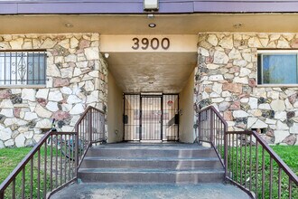 3900 Nicolet Ave in Los Angeles, CA - Foto de edificio - Building Photo