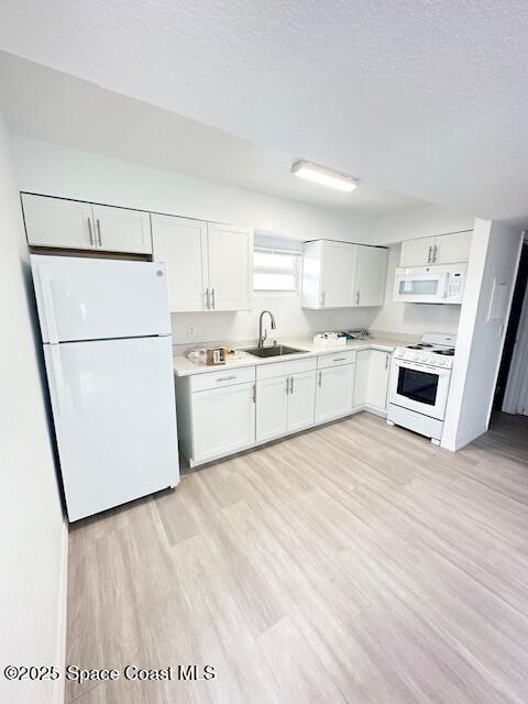 1042 Sea Grape Dr in Melbourne, FL - Building Photo - Building Photo