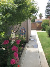 232 Cherry St in Lodi, CA - Building Photo - Building Photo