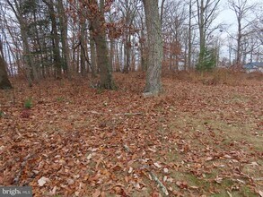 563 Principio Rd in Port Deposit, MD - Building Photo - Building Photo