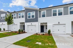 1123 Merlot Hills Ln. in Durham, NC - Building Photo