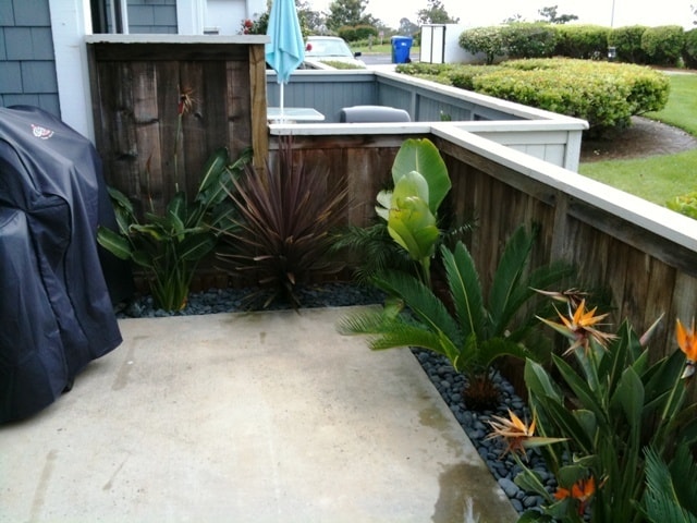 6923 Carnation Dr in Carlsbad, CA - Building Photo - Building Photo