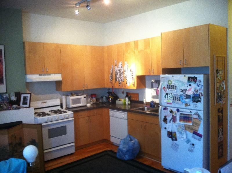 2519 W North Ave, Unit #  03F in Chicago, IL - Foto de edificio