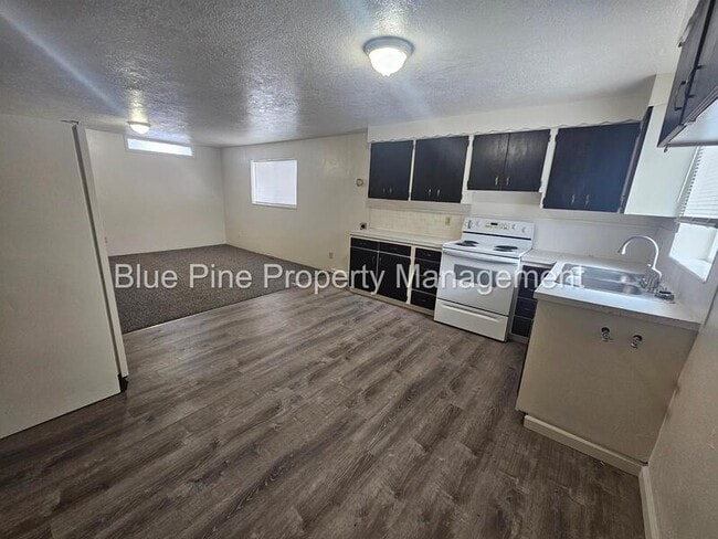 1151 E Cedar St in Pocatello, ID - Building Photo - Building Photo