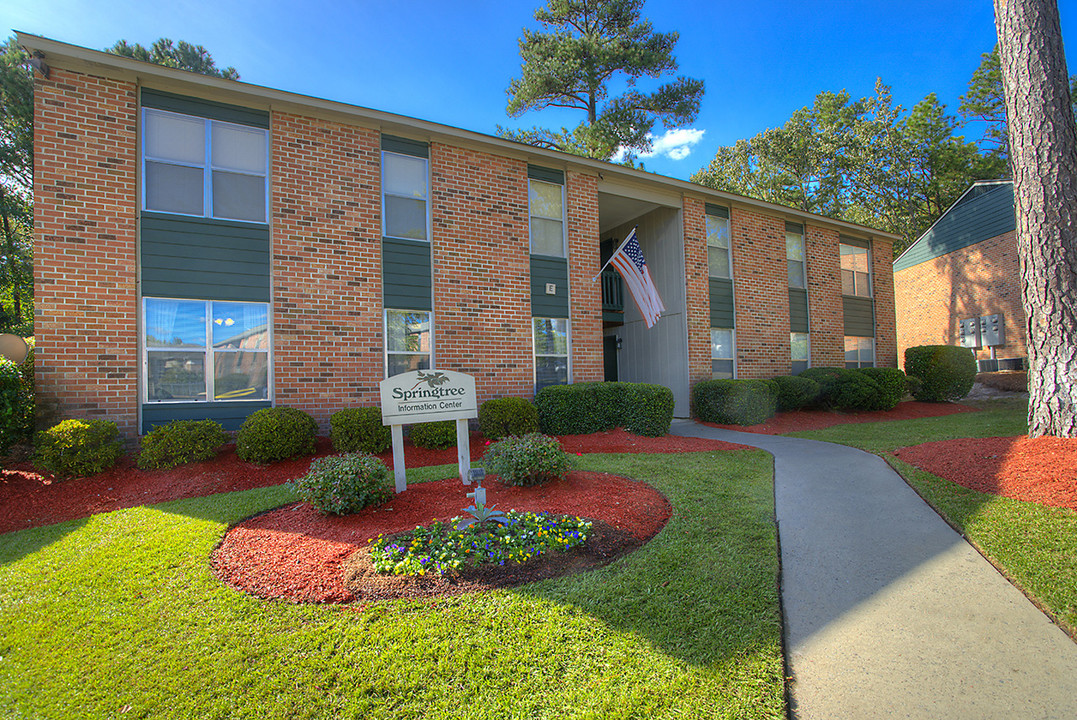 Springtree Apartments in Columbia, SC - Building Photo