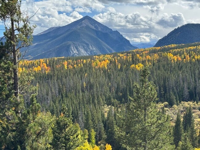 95400 Ryan Gulch Rd in Silverthorne, CO - Building Photo - Building Photo