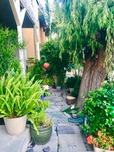 2113 Clark Ln, Unit #3 in Redondo Beach, CA - Foto de edificio - Building Photo