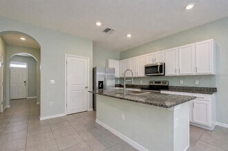 2928 Beluga Bay Dr in Odessa, FL - Building Photo - Building Photo