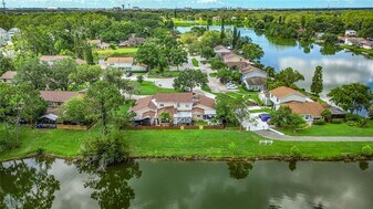 15636 Morning Dr in Lutz, FL - Building Photo