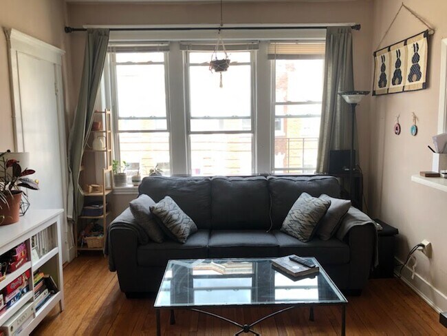 229 Kelton St, Unit 7 in Boston, MA - Building Photo - Building Photo