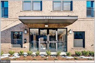 21950 Garganey Ter in Ashburn, VA - Building Photo