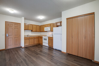 Lyon's Court Senior Apartments in St. Paul, MN - Foto de edificio - Interior Photo