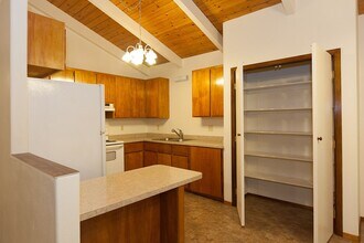 16-1189-1189 Moho Rd in Kurtistown, HI - Building Photo - Building Photo