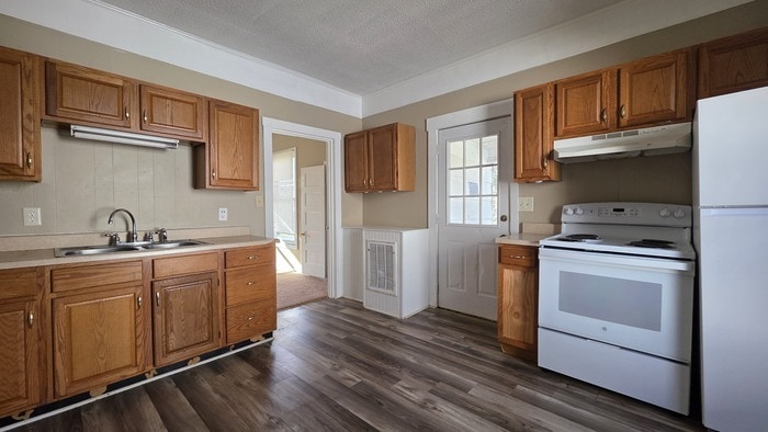 818 Hamilton St in Johnson City, TN - Building Photo