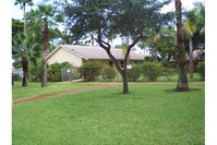 4 Pine Tree in Dania Beach, FL - Building Photo - Building Photo