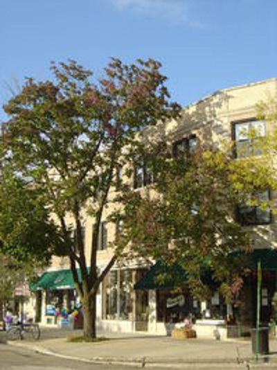 1901 Central St in Evanston, IL - Building Photo - Building Photo