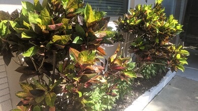 2042 Harley Ave in Sarasota, FL - Foto de edificio - Building Photo