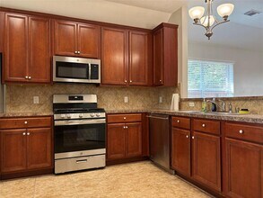 21742 Orange Maple Ct in Cypress, TX - Building Photo - Building Photo