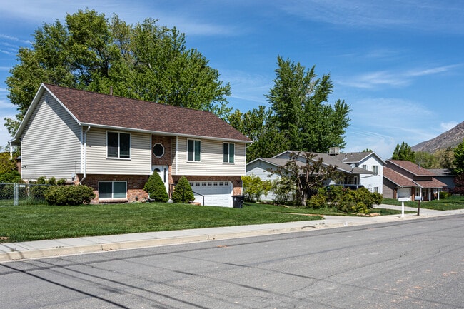 Homes for rent in Springville, UT