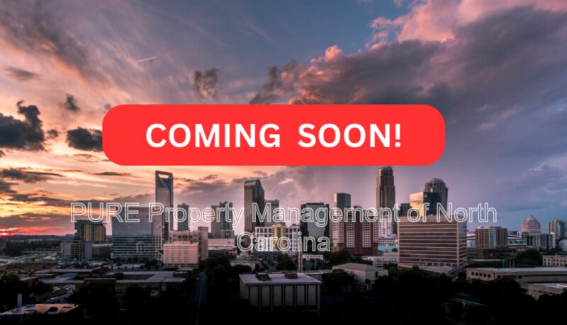 10945 Wiltshire Ln in Charlotte, NC - Building Photo